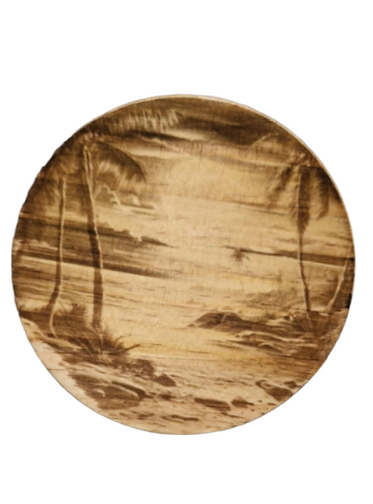 Beach Coaster