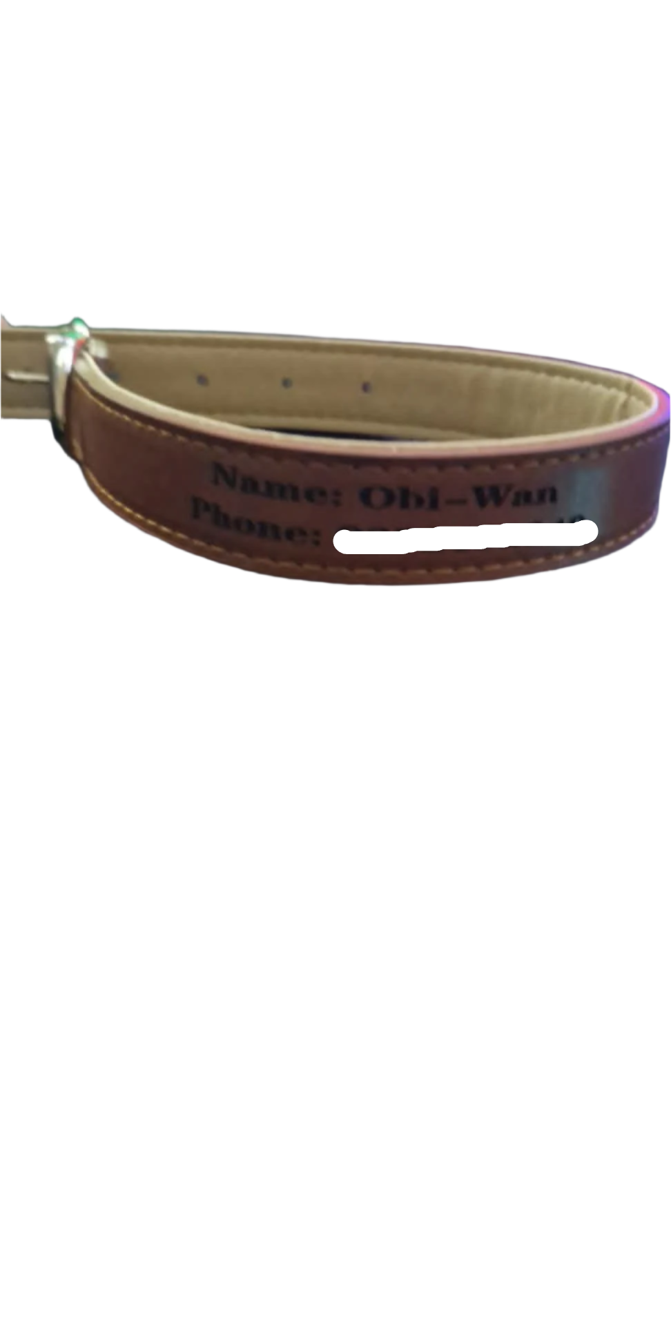 Custom Collars