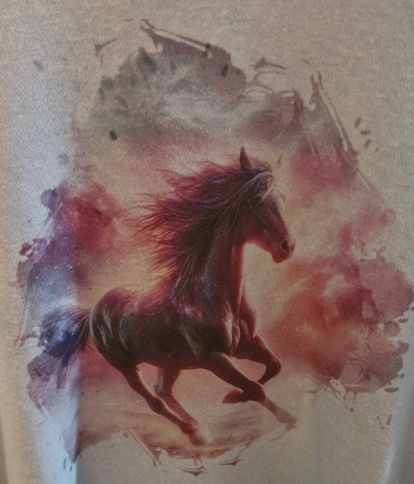 Horse (Clothing Image)